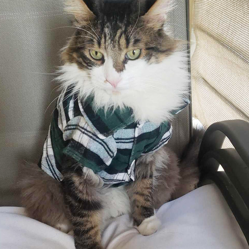 Pet Clothes